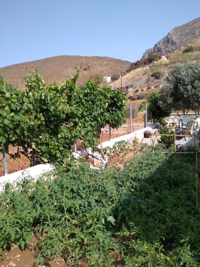 Villa Polymnia Emborios Eksteriør billede